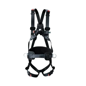 Cresto Energy Base 1125